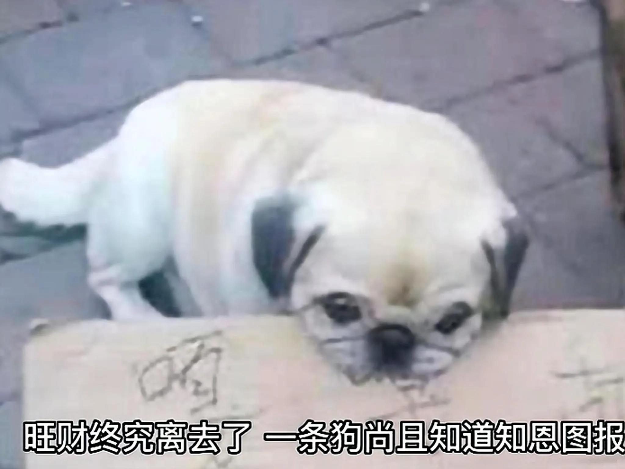 酒干倘卖无催人泪下,酒干倘卖无的简短故事