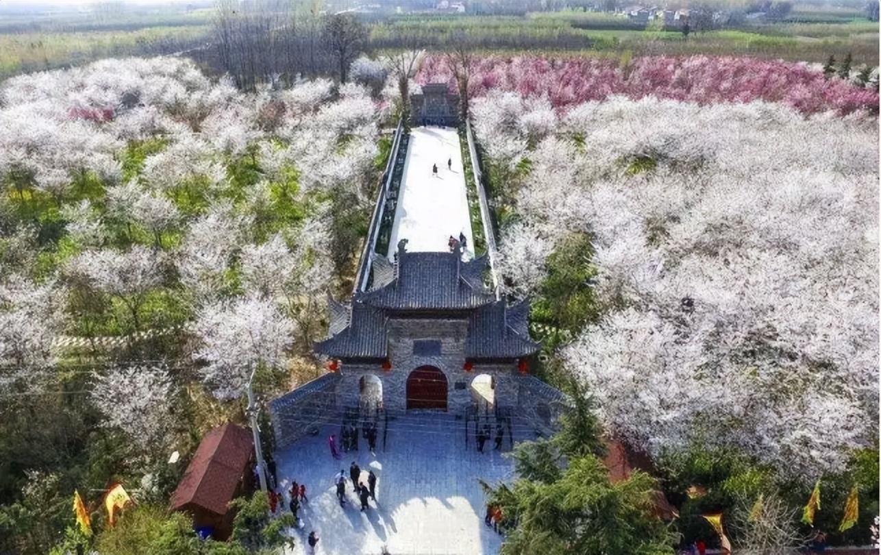 河南省涉黑十大案件,杨建芳涉黑集团覆灭记