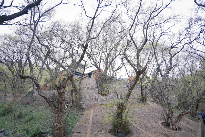 宿州旅游有什么好吃的,宿州旅游攻略景点大全