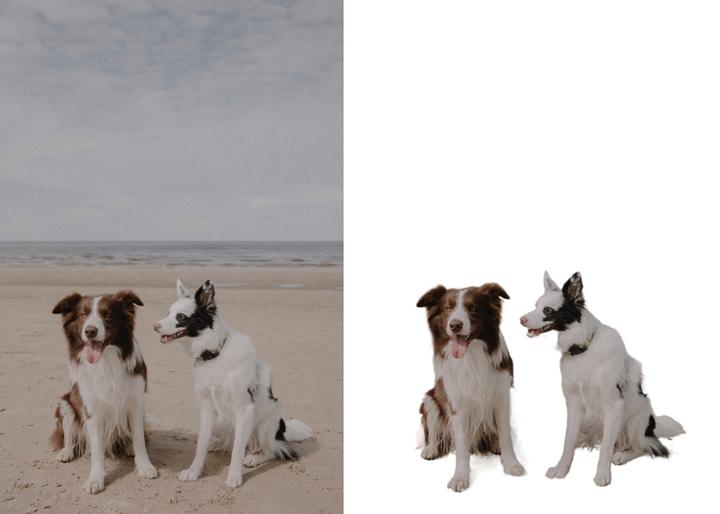 新手小白如何抠图做效果图,新手小白怎么抠图视频