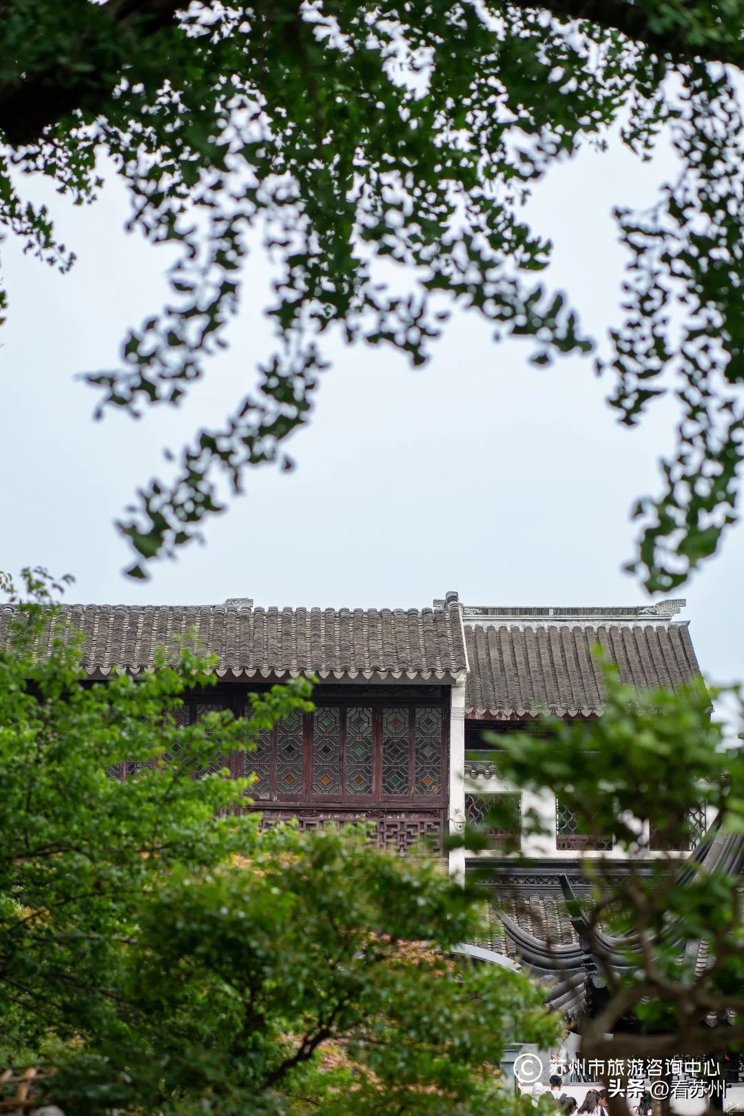 苏式园林庭院壁纸,苏州园林之夜壁纸