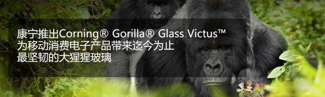 给手机贴膜还是贴钢化膜好,手机贴膜水凝膜还是tp膜好