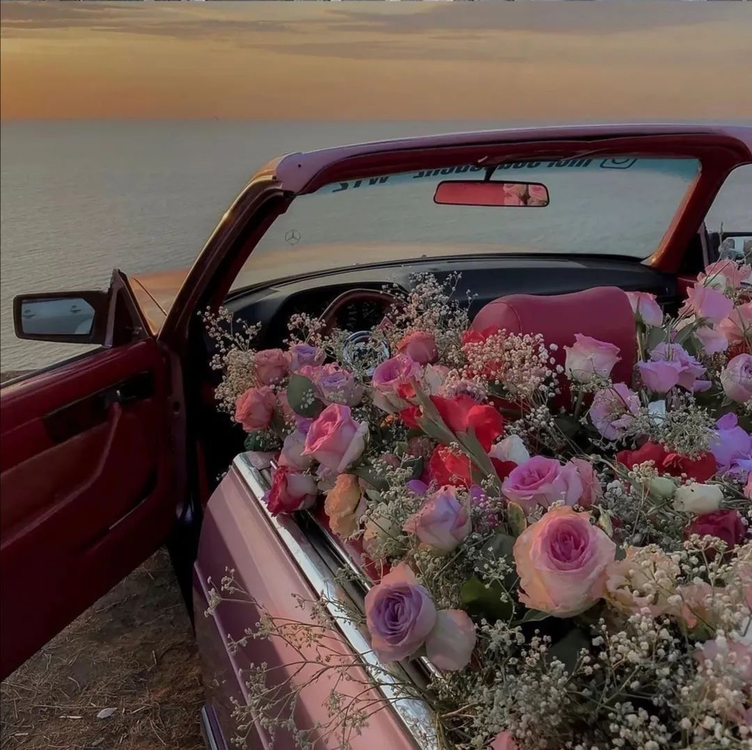 背景图ins风鲜花,ins复古黑色鲜花壁纸