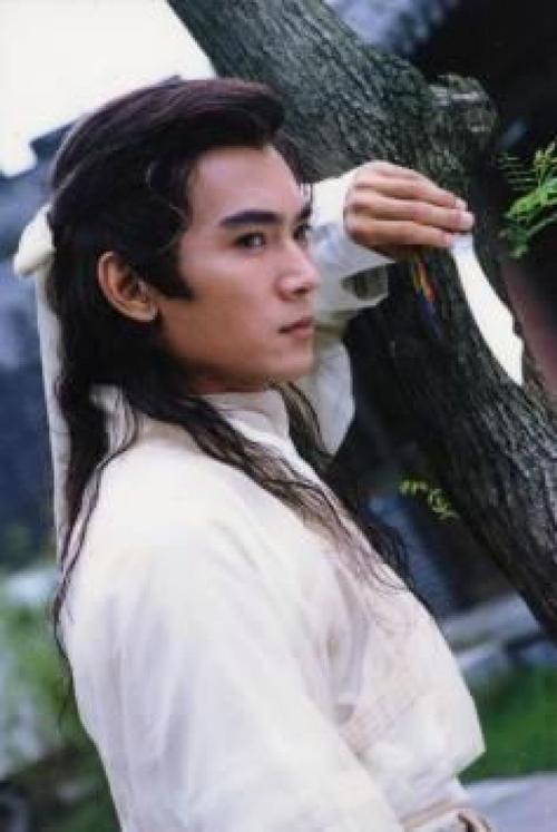 十大经典电视剧美男,中国电视剧最帅的十大绝色美男子