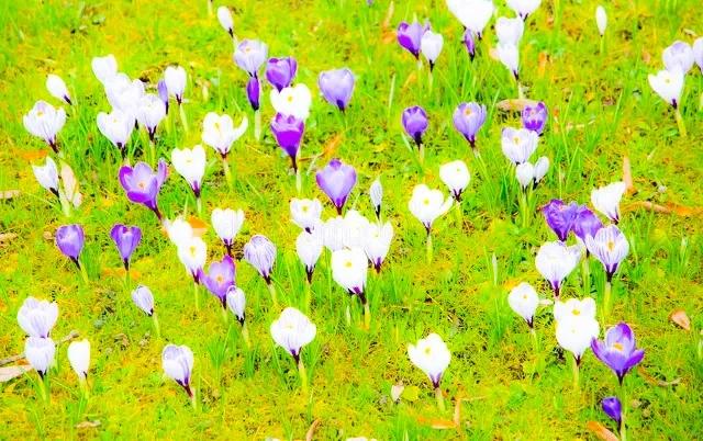 修心行善必有佛佑,心本善良一心向善愿善者得善报