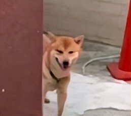 不小心把大尺度小说发给老师后...没逝的这辈子很快就过去了哈哈