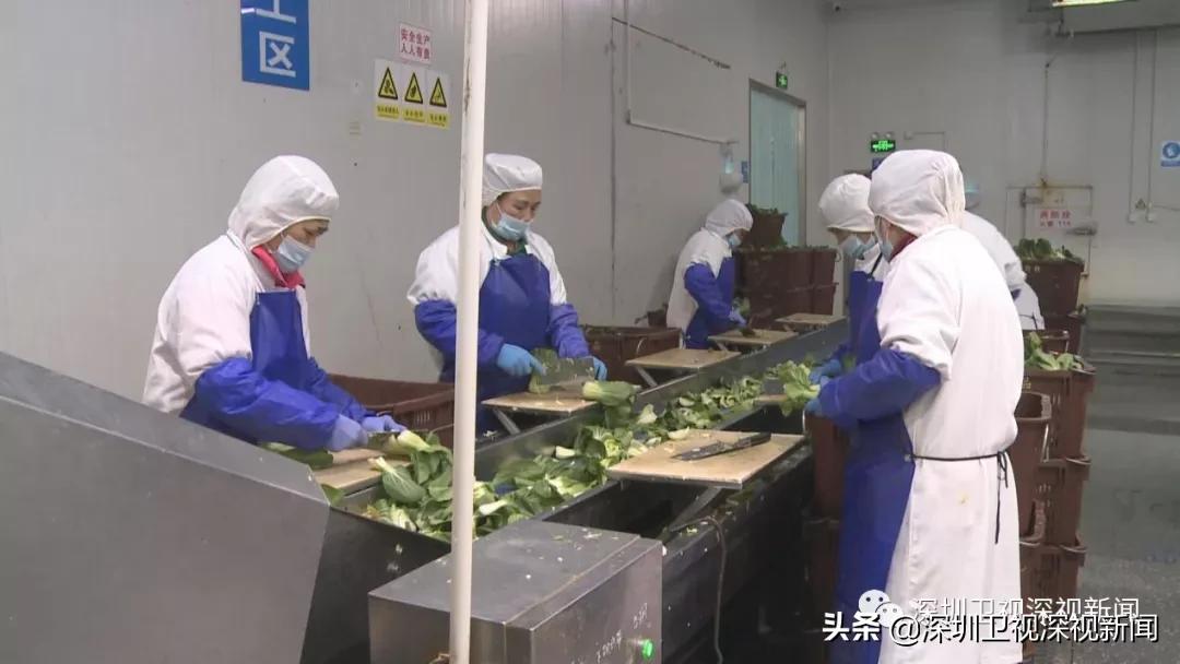 香港“火眼实验室”首日运作顺畅！深圳驰援香港抗疫这样做