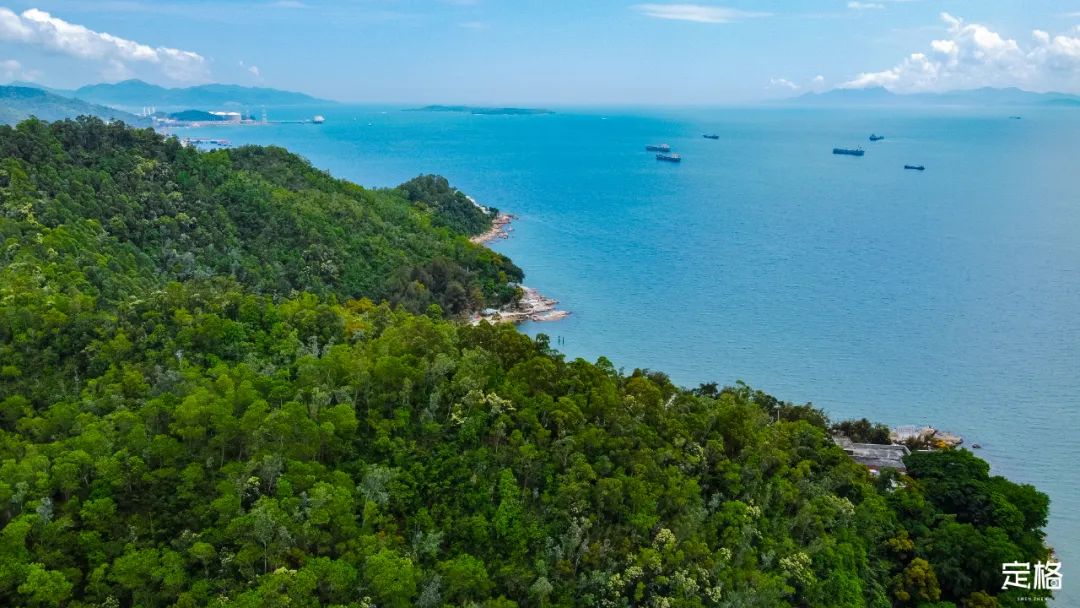 深圳极少人知的沙滩，要火