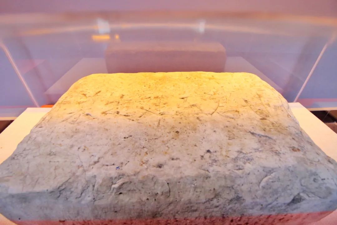 媒体“网事”丨古“网”今来！沉睡的历史，被“昌平记忆”唤醒