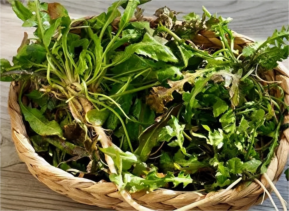 去哈尔滨必吃的9道菜,去哈尔滨必去的十大美食