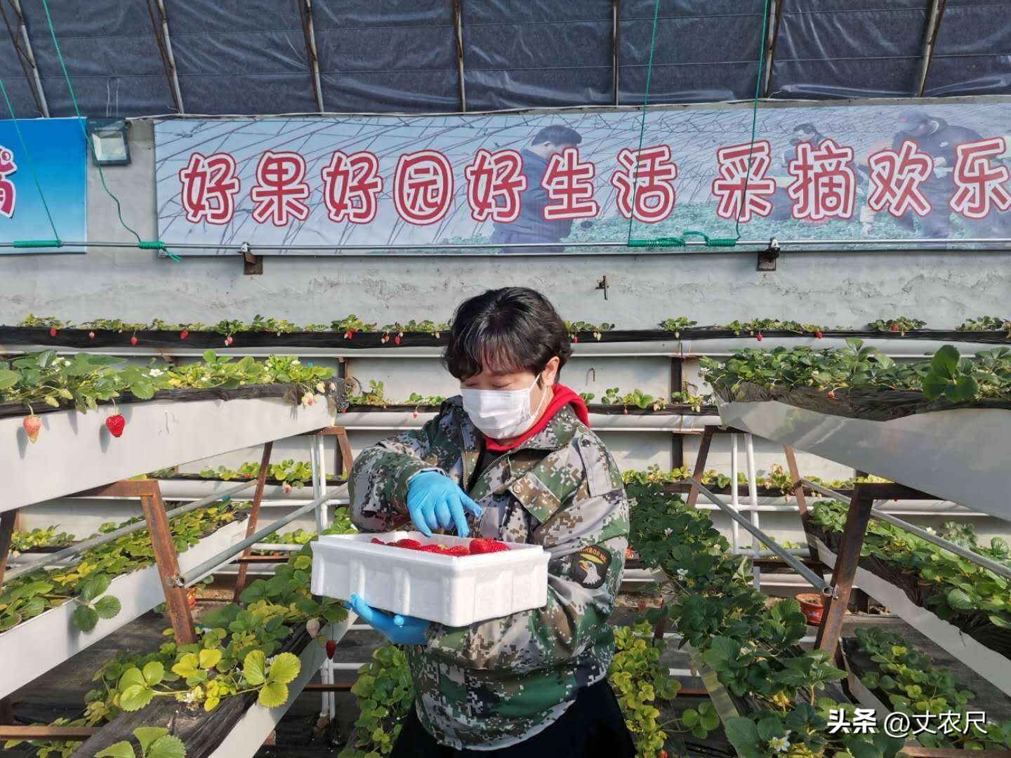 8子家庭低保被拒？农村“新穷人”出现，8、90后居多，有你吗