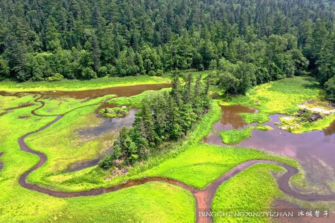 火山口国家森林公园与地下森林,清凉度夏探秘地下森林