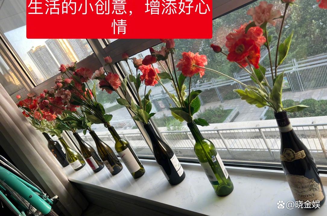 吴昕回老家过年跟谁一起的 (吴昕下乡种地)