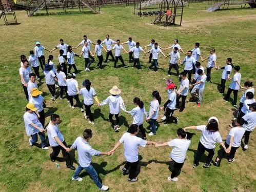 山区闲置的土地怎么利用赚钱,怎么利用农村田地赚钱呢