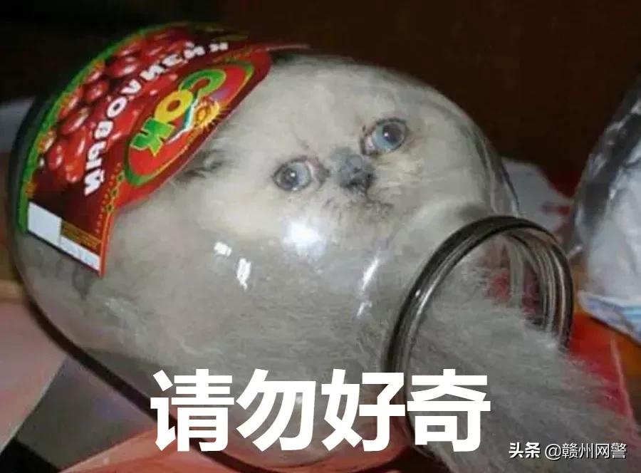 2019反诈盘点,2019反诈热点新闻