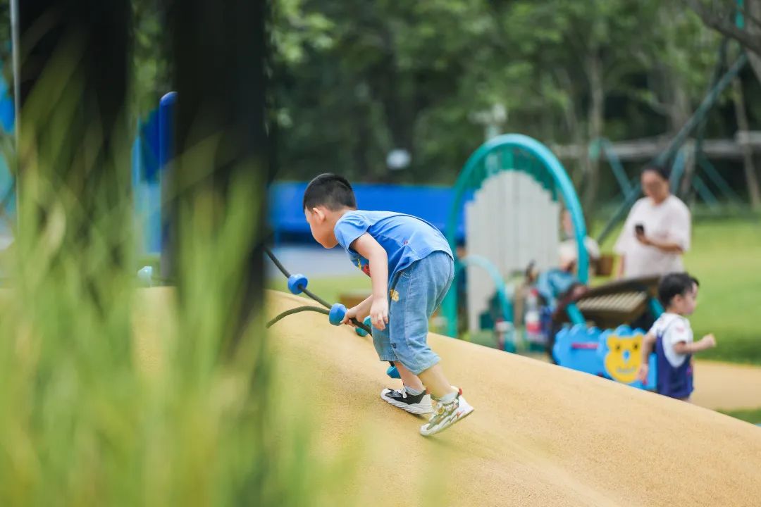 克莱因蓝爆红,克莱因蓝深圳公园