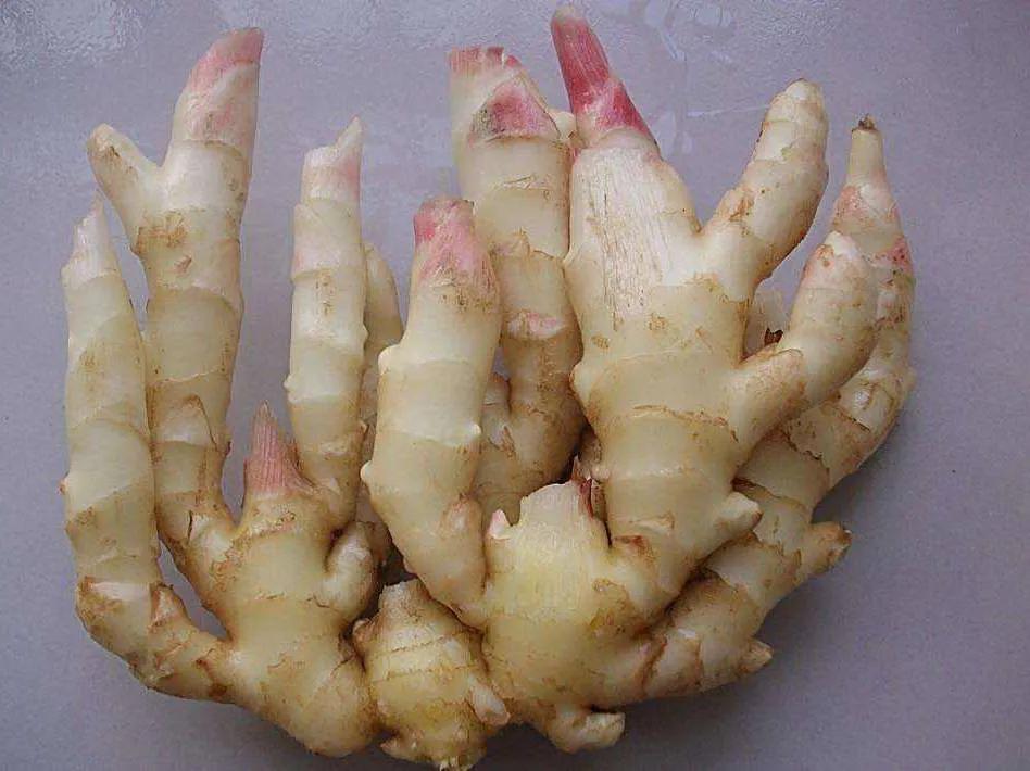 中国地理标志产品生姜,中国地理标志产品