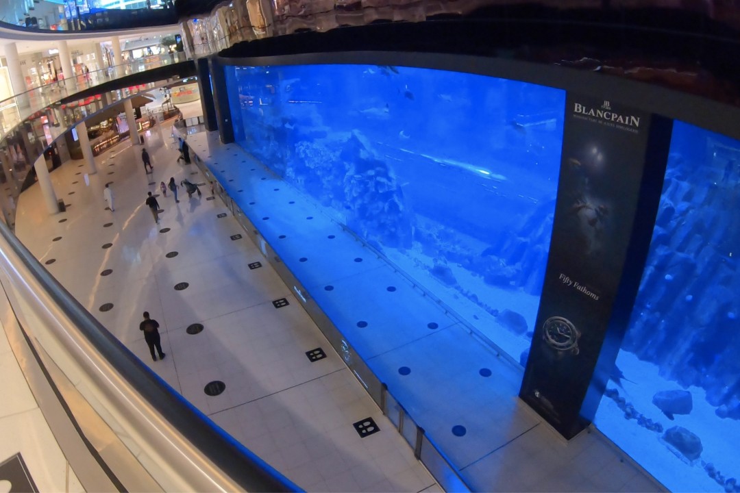 中国小伙航海日记9天9夜地中海,中国小伙子航海日记4