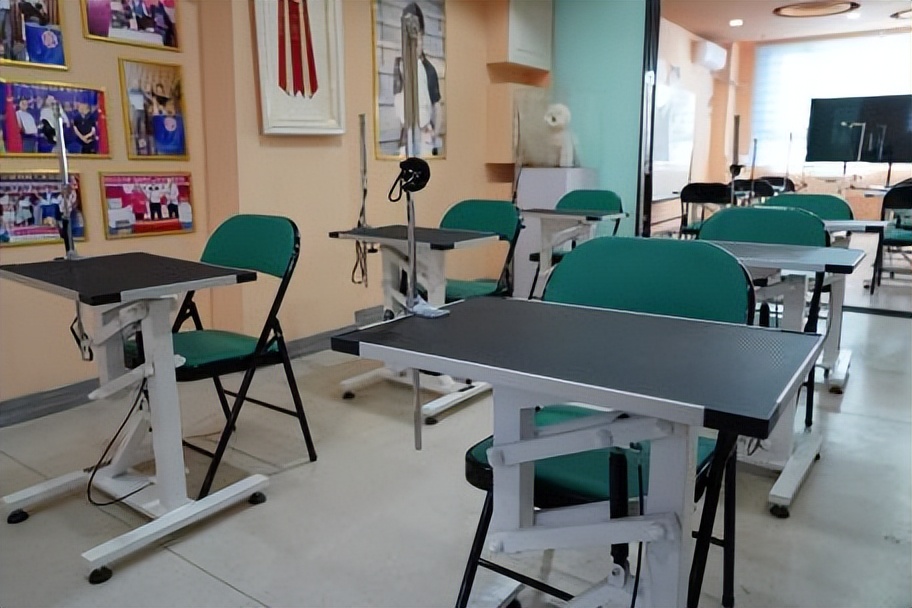 “小野宠爱”教你选择宠物投资赛道