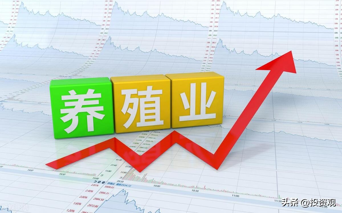 券商板块大幅反弹超3%,券商股后市最新消息