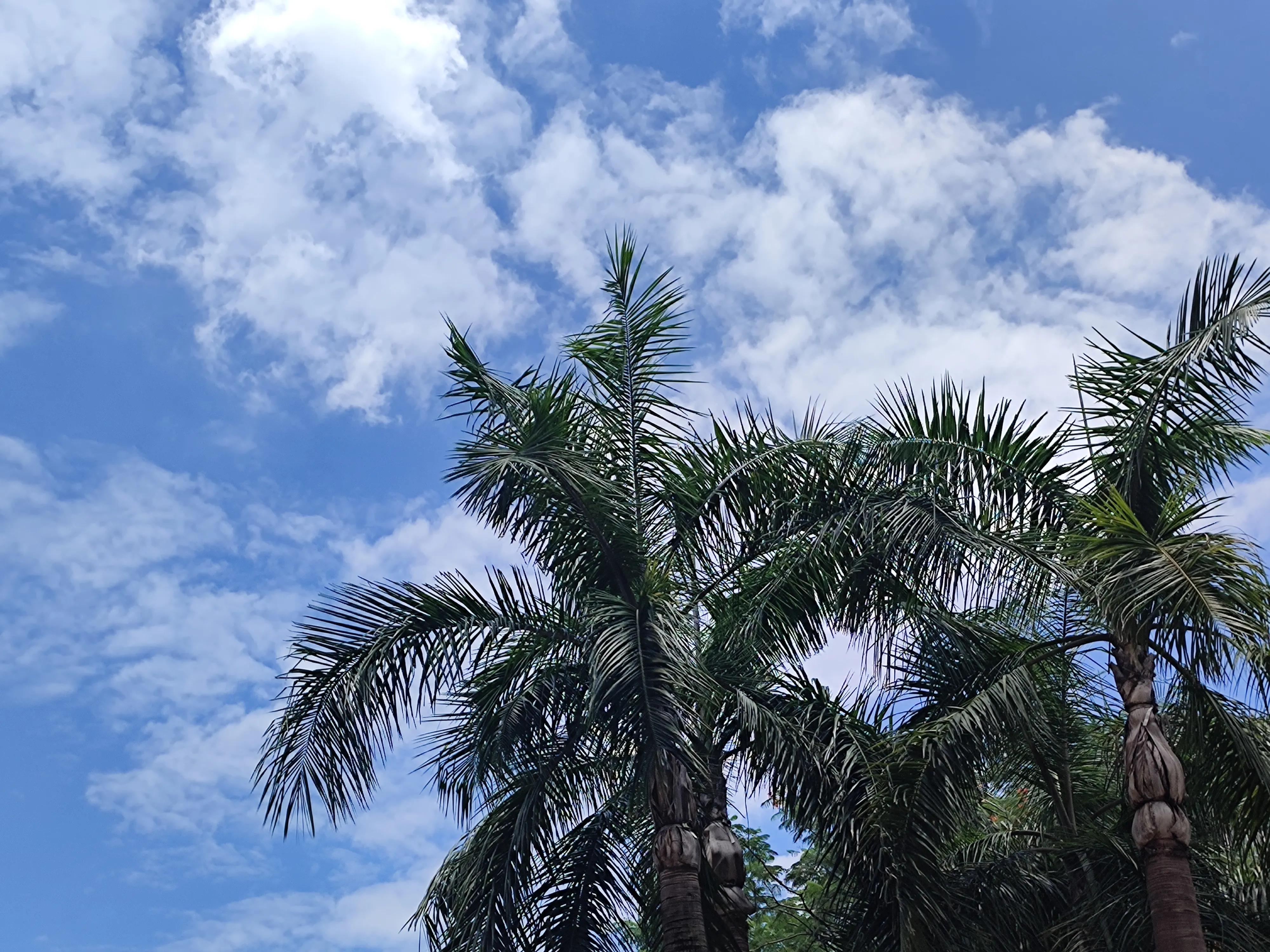 辟谷修仙记第36部：妈妈让我说出手机和银行卡密码