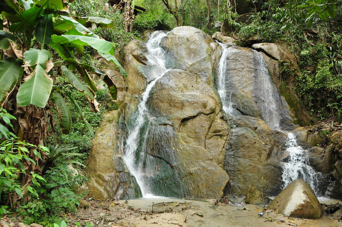 腾冲樱花谷，野生樱花遍布，落英缤纷、原始自然的花花世界