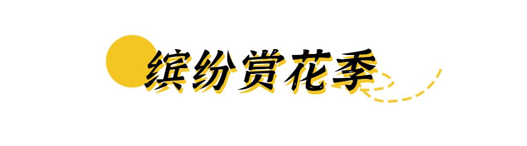 清明哪里适合踏青旅游,清明踏青好去处赏景玩乐两不误