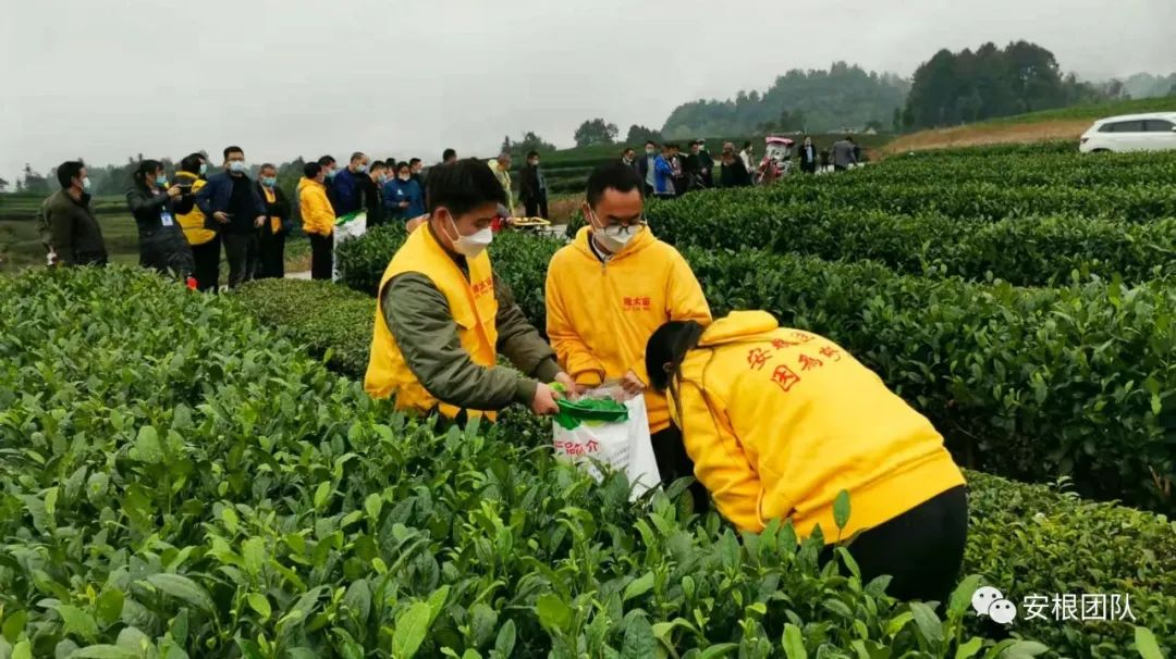 种植专业合作社有什么好处和坏处,农业合作社的危害