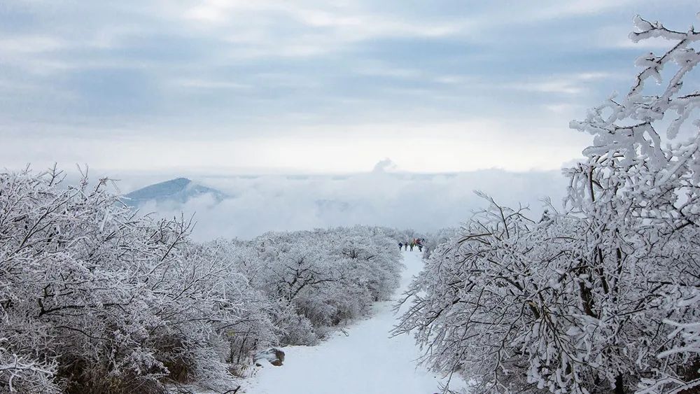 还剩10天!如何安全有仪式感地迎接元旦?这14条周边短线值得一去