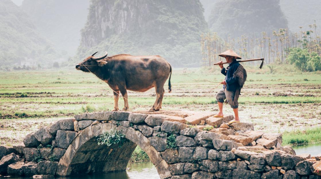 成本低利润高的创业项目,农村创业目前哪些项目比较好
