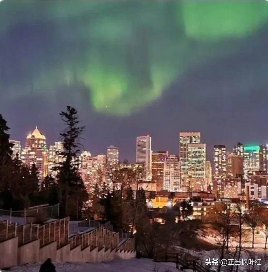 中国姥姥去公园溜达,中国姥姥在澳洲