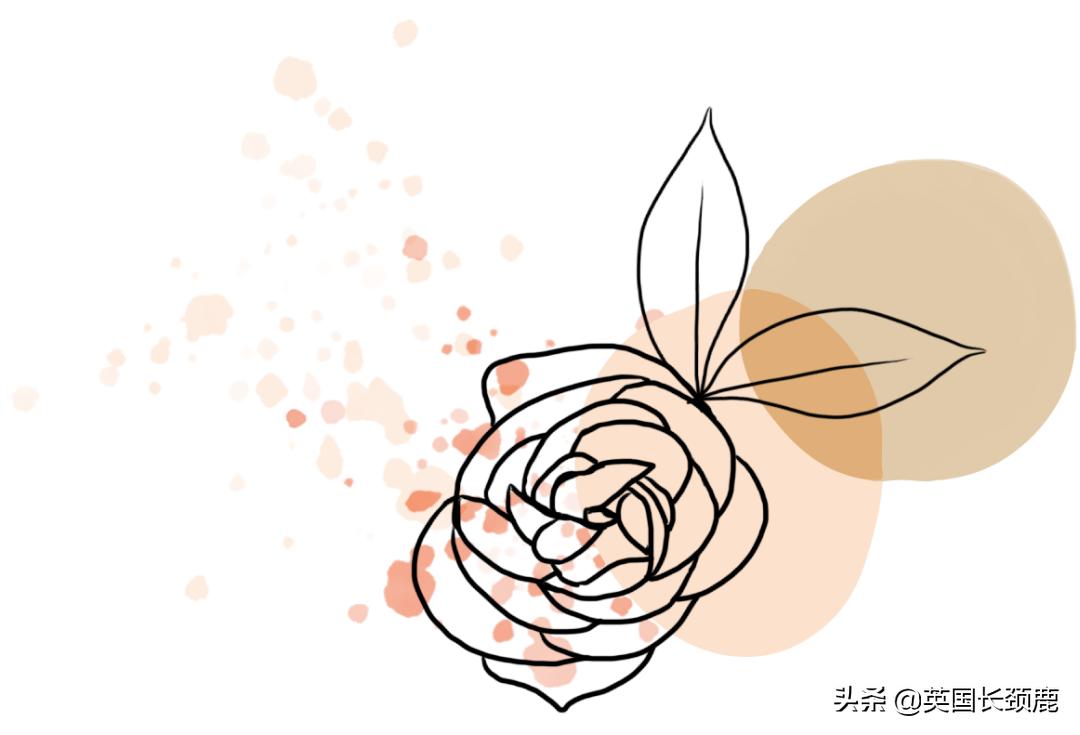 2020年切尔西花展抢先看,2023年切尔西花展