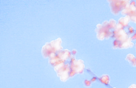 3月21日为什么称为世界睡眠日,3.21世界睡眠日如何睡个好觉