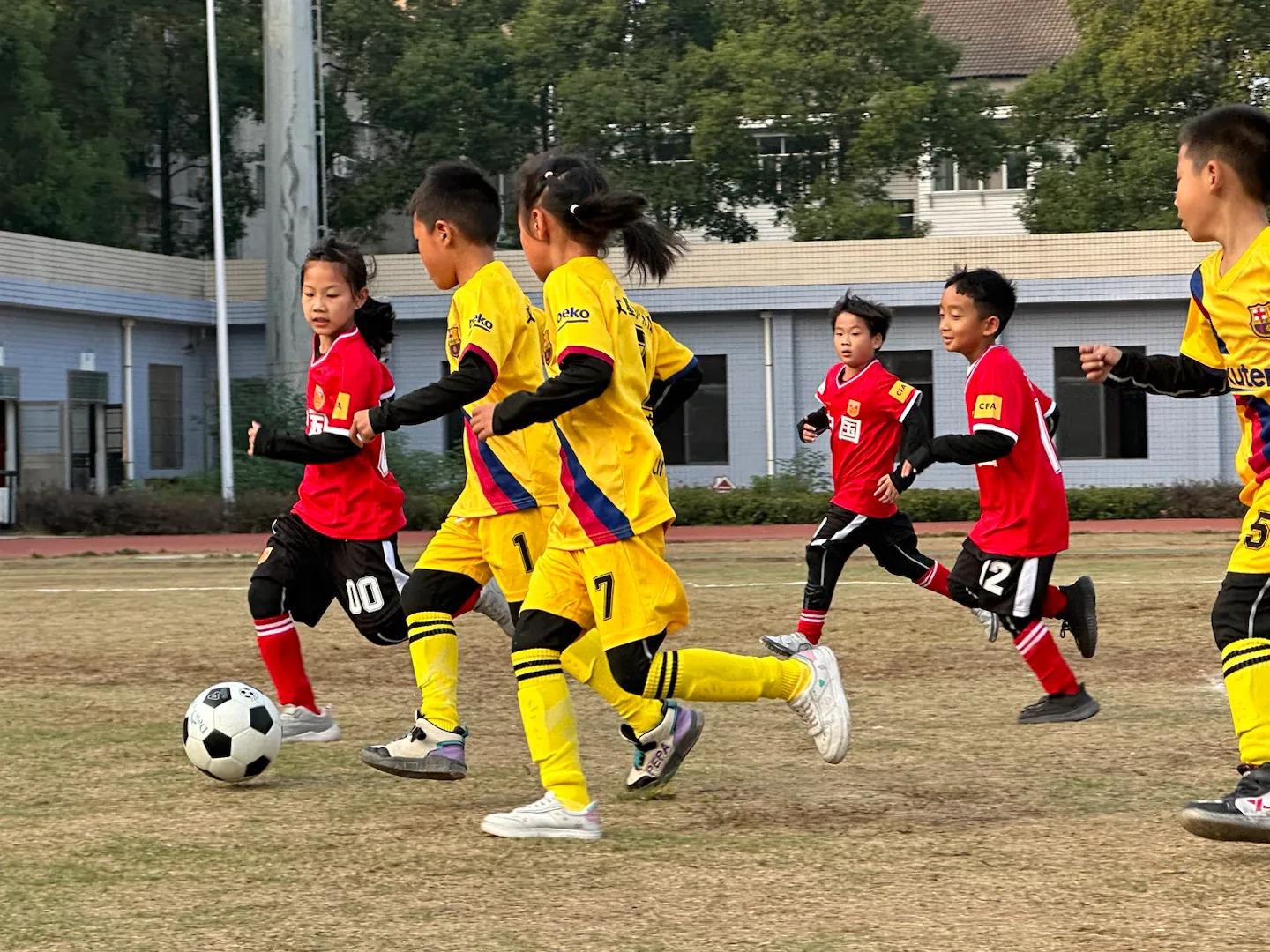 城固县文川镇文星小学,苏州高新区文星小学