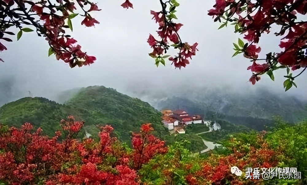 和美阳明·盛世花开：天下第一“和山”