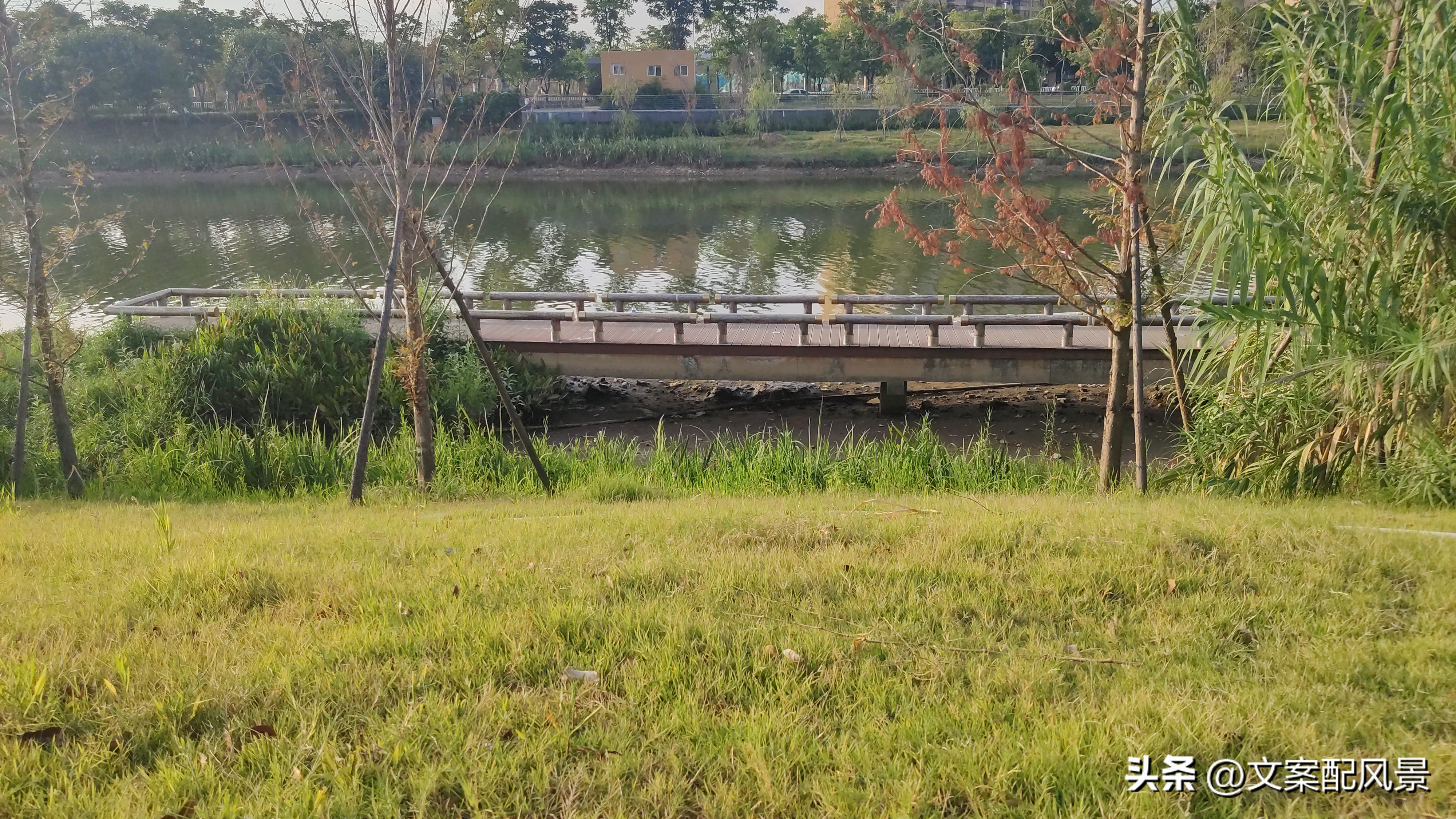 轮船港滨水公园什么时候建好,轮船港滨水公园