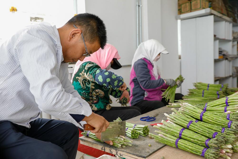 奋进新征程筑梦新时代微视频,奋进新征程筑梦新未来演讲