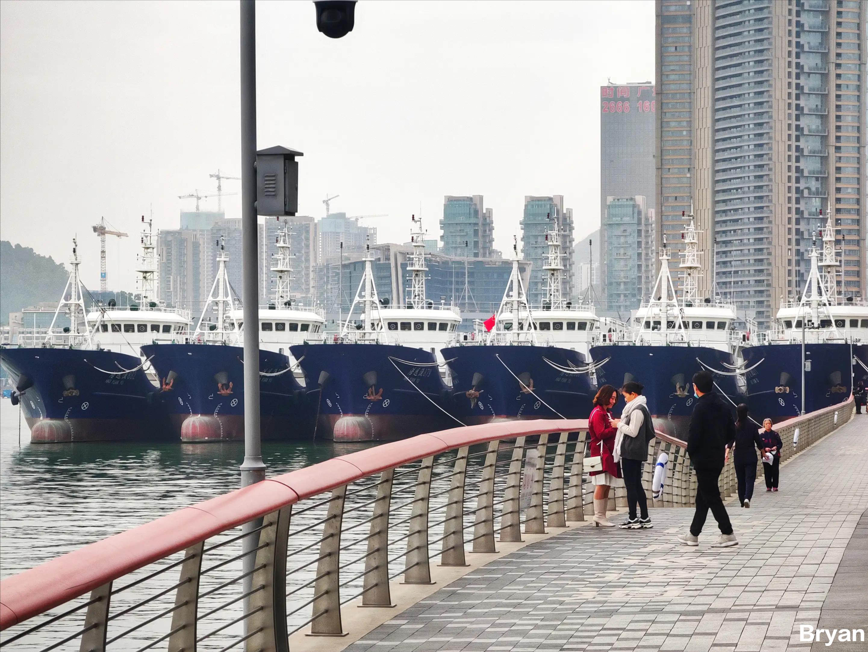 蛇口海上旅游,蛇口海上游深圳