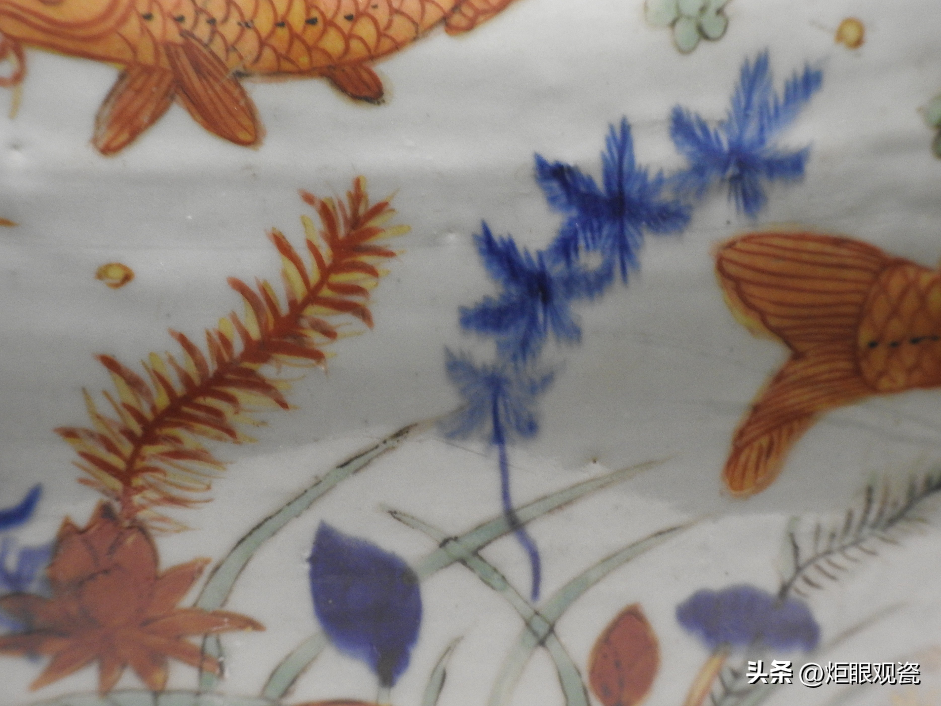 鱼乐其中——细观嘉靖五彩鱼藻纹罐的黄上红、翡翠绿、回石青