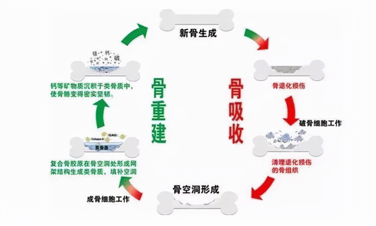 吃巧克力会促进骨骼早闭合吗,吃巧克力会不会影响孩子的身高