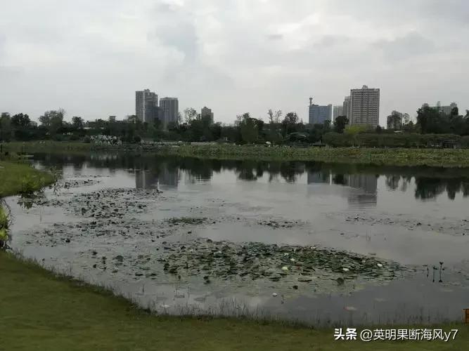 遂宁风景太美了,遂宁真的很美