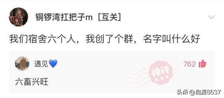 世界上最搞笑的笑话笑到吐血,你听过最好笑的笑话话题