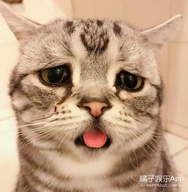 感觉当“水鱼”了😂，手机绑定百元套餐使用3年，送电动车！