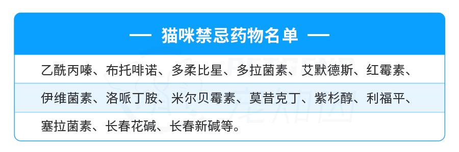 mdr1基因缺失什么意思,mdr1a怎么样