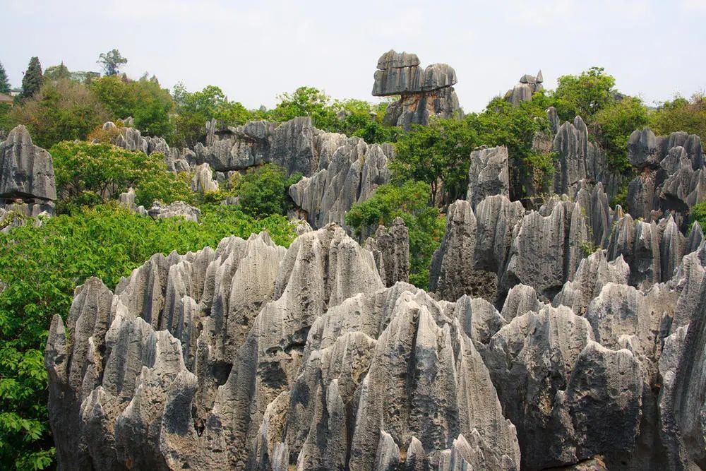 昆明石林世界地质公园视频,云南石林世界地质公园简介