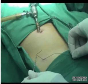 神秘之旅,神秘之旅视频