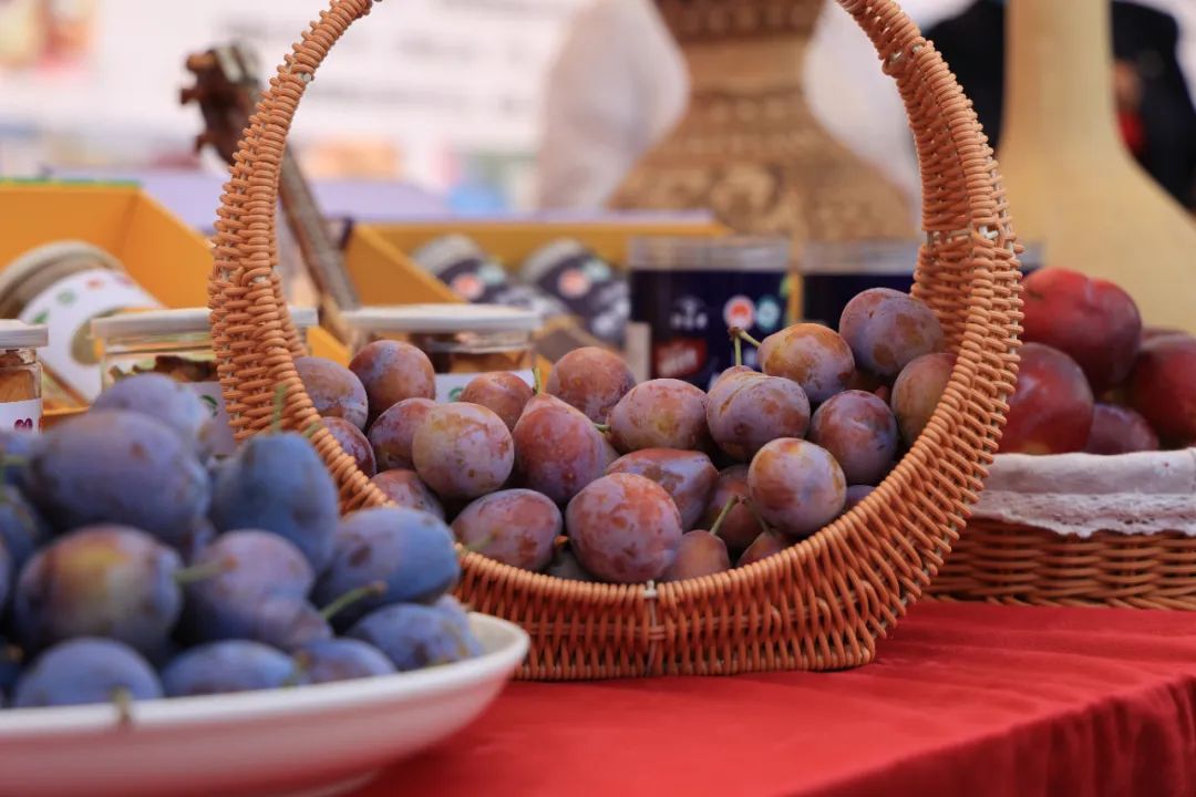 西梅常识,西梅的前期怎么管理