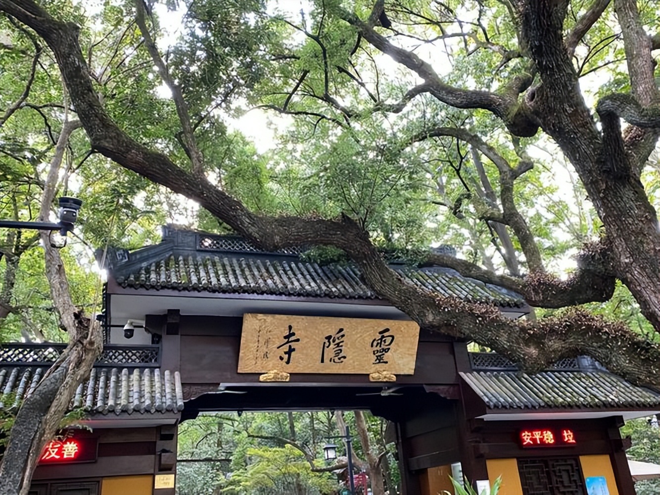 苏州到杭州西湖一日游最佳路线,杭州西湖一日游大概多少钱