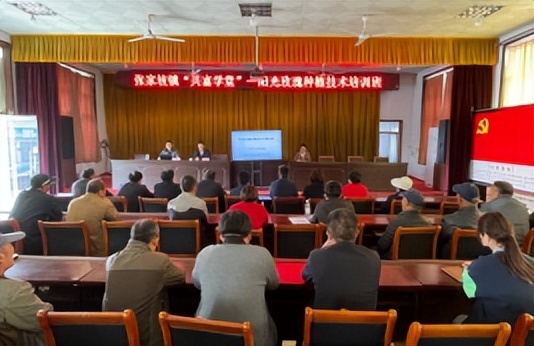 群众增收致富项目,群众增收企业创收税收