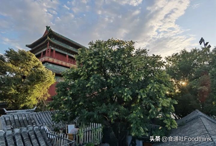 流动的菌种，交织的人：如果我们的语言是康普茶